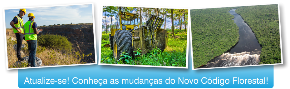 Novo Código Florestal
