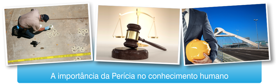 A Perícia Judicial