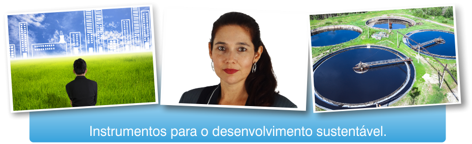 Certificação e governança ambiental corporativa