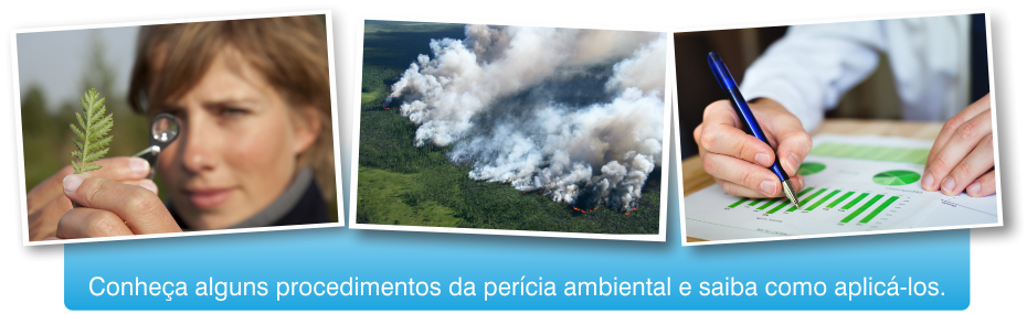 Minicurso de Perícia Ambiental