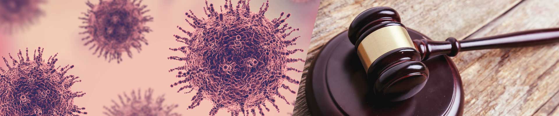 O Novo Coronavírus e as implicações no cotidiano Forense