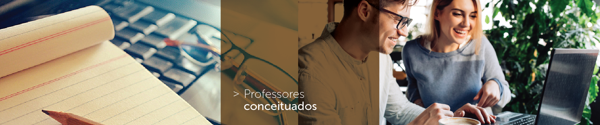 Professores | IbiJus - Instituto Brasileiro de Direito