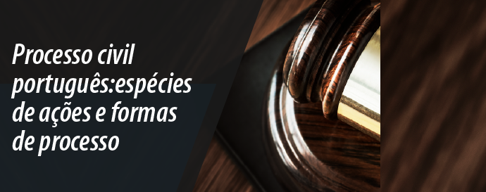 Processo civil português: espécies de ações e formas de processo