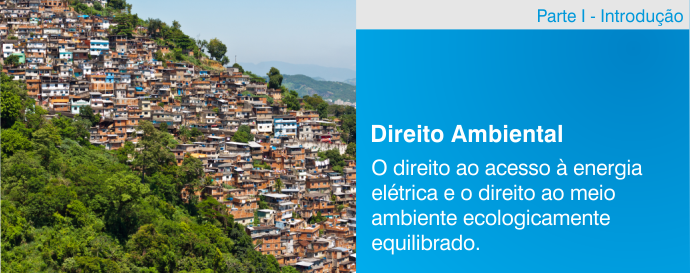 O direito ao acesso à energia elétrica e o direito ao meio ambiente ecologicamente equilibrado