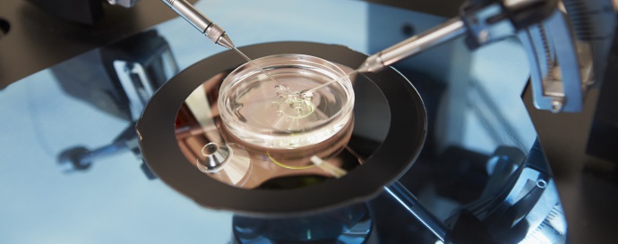 TJ/BA reconhece dever do plano de saúde em arcar com fertilização "in vitro".