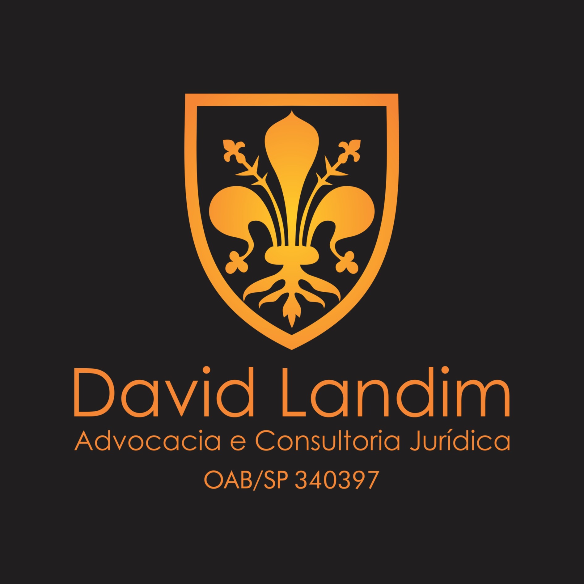 David Simon Landim de Souza